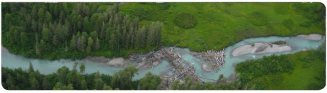 Vogelperspektive - Glacier Bay National Park, Alaska (der Einfluss der Biber auf das Ökosystem)