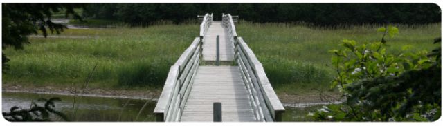 Zentralperspektive einer Brücke in Seldovia, Alaska